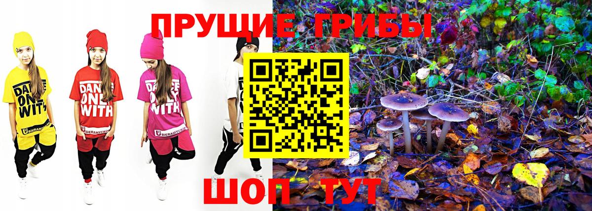 Псилоцибиновые грибы мухоморы  Вход с VPN  Шебекино 